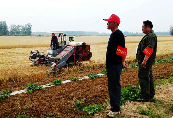 定遠西卅店鎮強化秸稈禁燒全力保護生態環境_副本.jpg 定遠西卅店鎮強化秸稈禁燒全力保護生態環境_副本.jpg