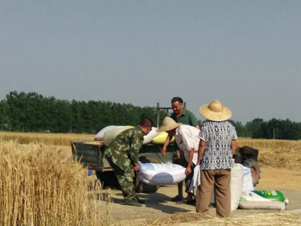 定遠縣七里塘鄉:小麥豐收收割忙1_副本.jpg 定遠縣七里塘鄉:小麥豐收收割忙1_副本.jpg