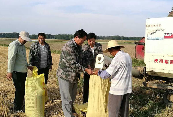 鎮黨委副書記周義勁帶領村干為貧困戶收割600.jpg 鎮黨委副書記周義勁帶領村干為貧困戶收割600.jpg