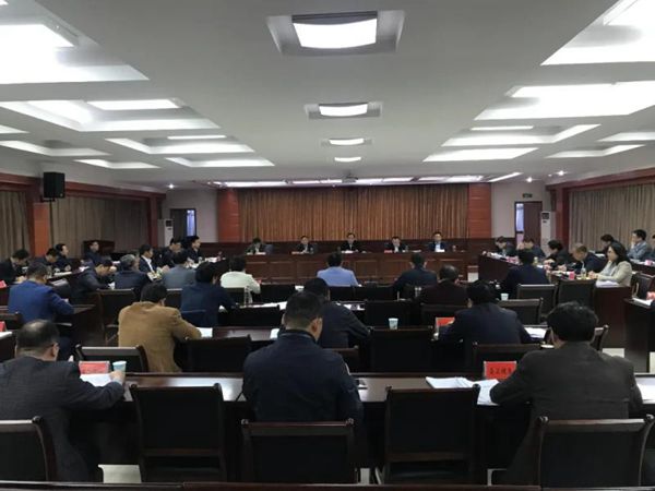 2020年一季度經濟運行和4月份全縣重點項目暨“五大產業”調度會召開.JPG