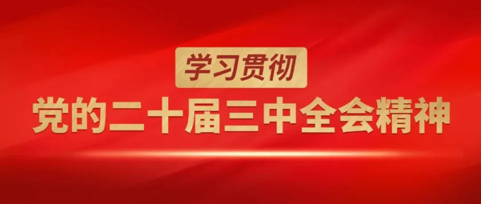 學習貫徹黨的二十屆三中全會精神
